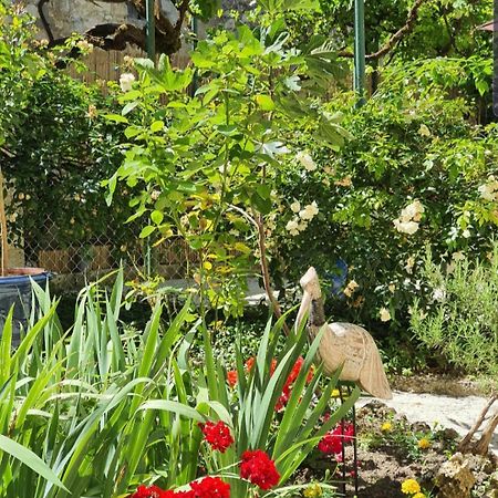 Bed and Breakfast La Casa Nomade Issigeac Екстер'єр фото